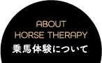 乗馬体験について