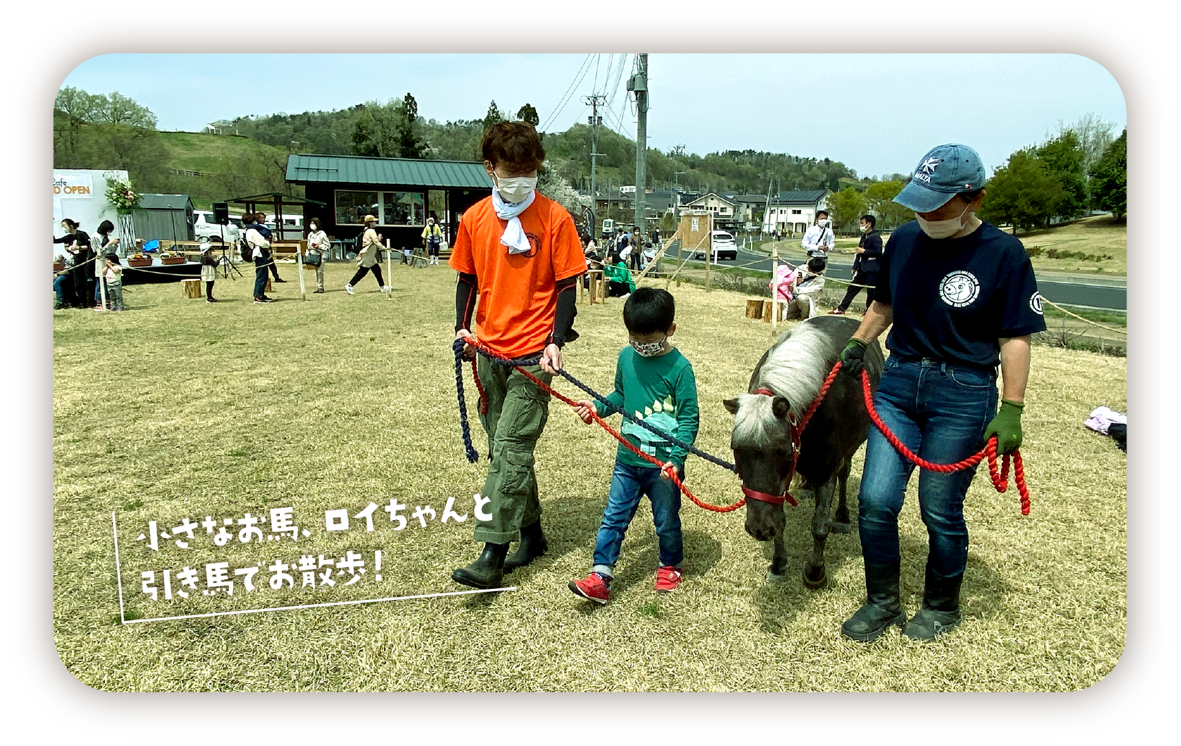 ロイちゃんは小さなお馬さんです。